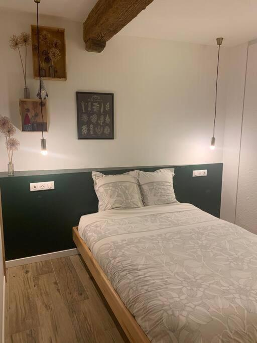 Studio Les Hirondelles - 2 Personnes A Ribeauville Eksteriør bilde